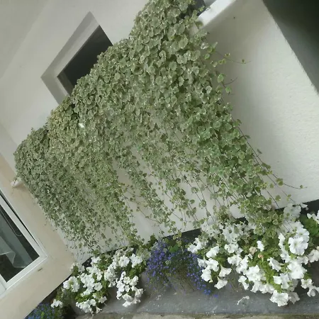 White Apartment